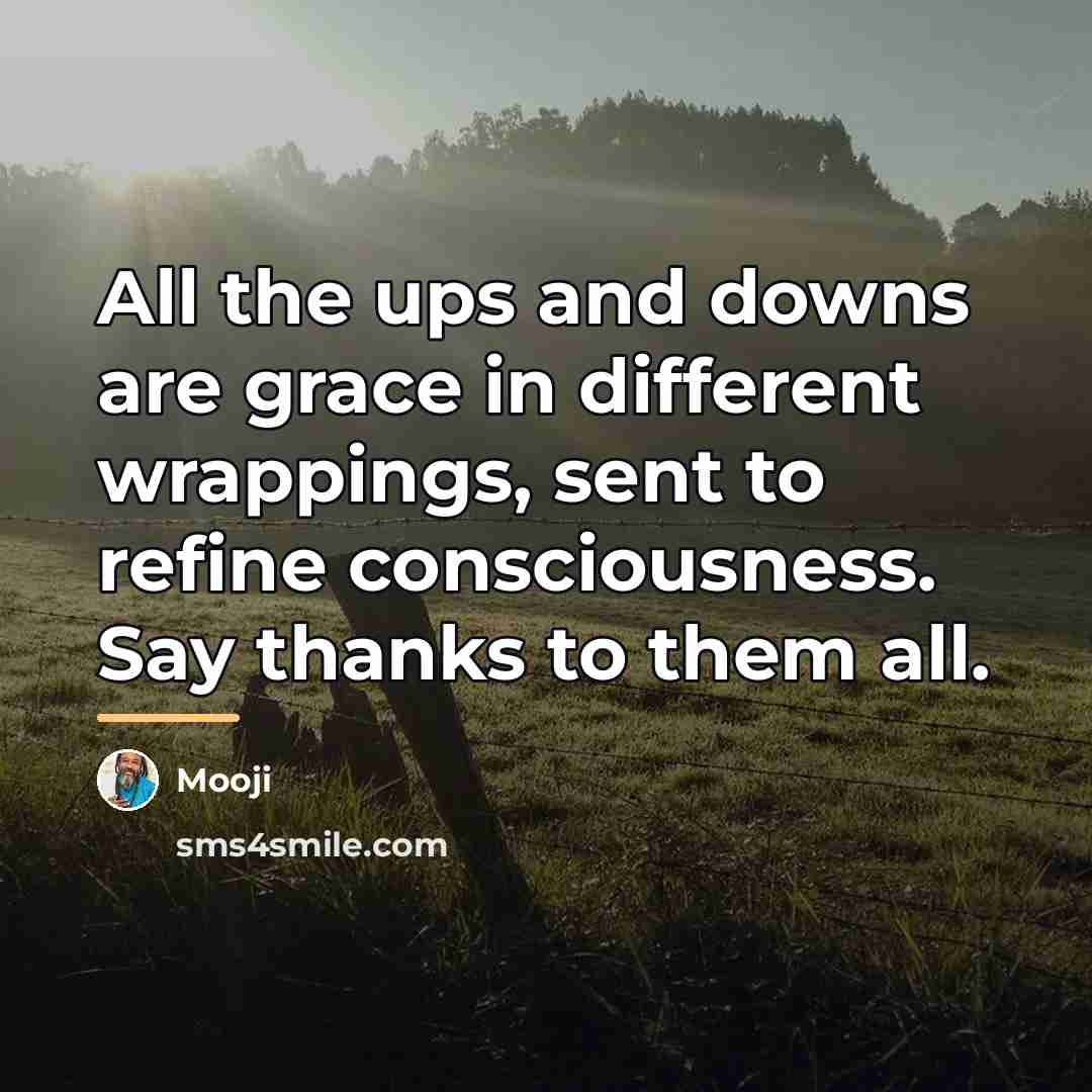 “All the ups and downs are grace in different wrappings,…” quote by Mooji