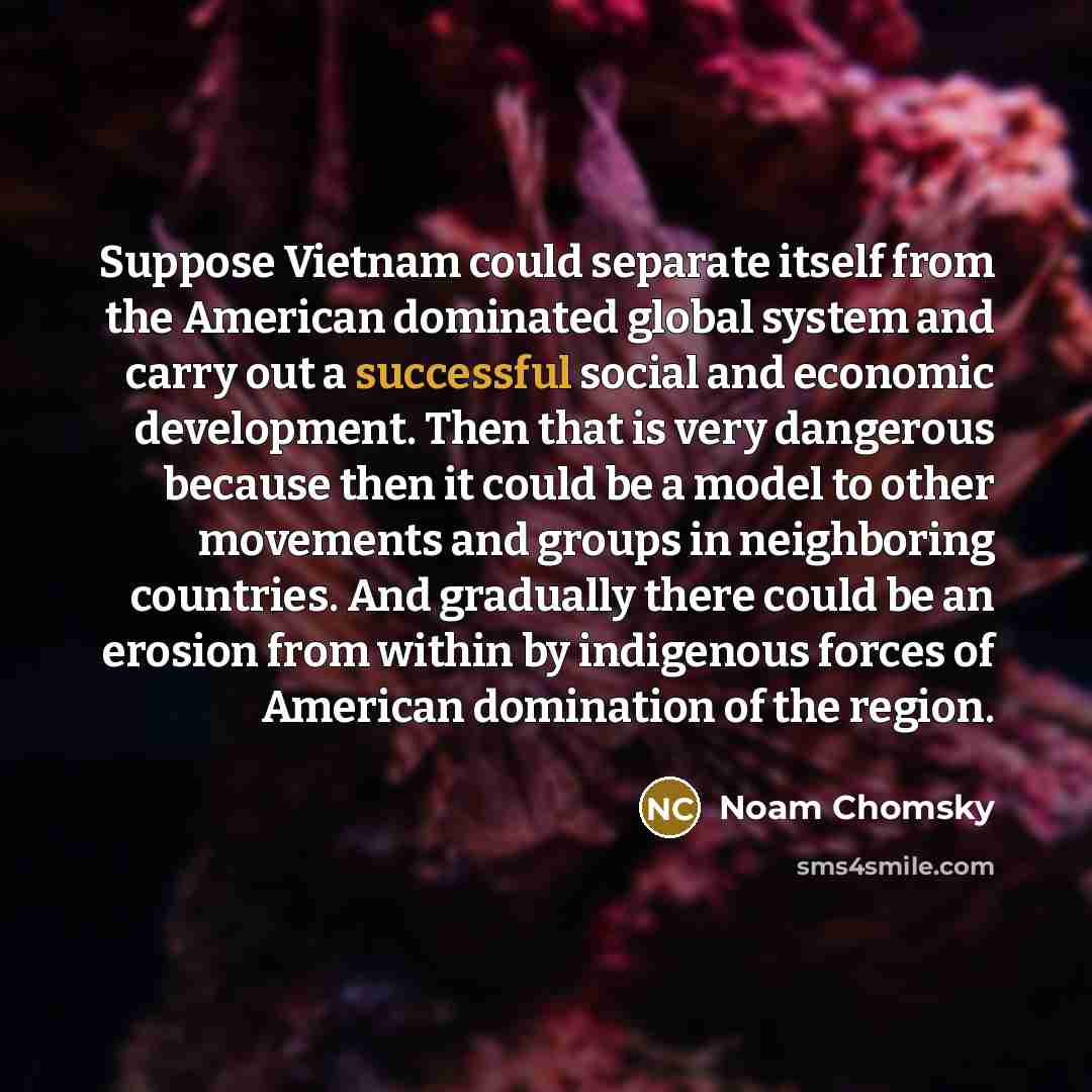 “Suppose Vietnam could separate itself from the American dominated global…” quote by Noam Chomsky