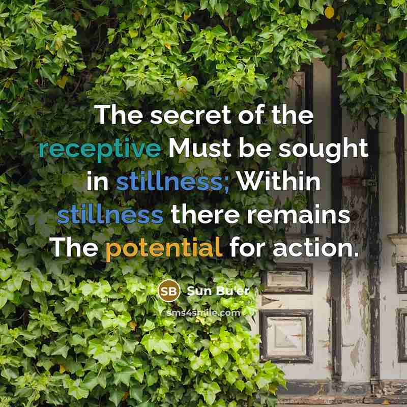 “The secret of the receptive Must be sought in stillness;…” quote by Sun Bu'er
