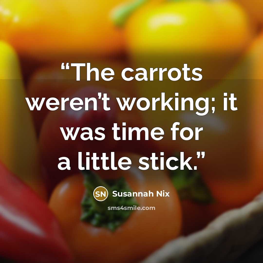“The carrots weren’t working; it was time for a little stick.” quote by Susannah Nix