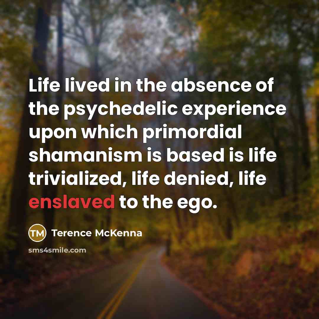 “Life lived in the absence of the psychedelic experience upon…” quote by Terence McKenna