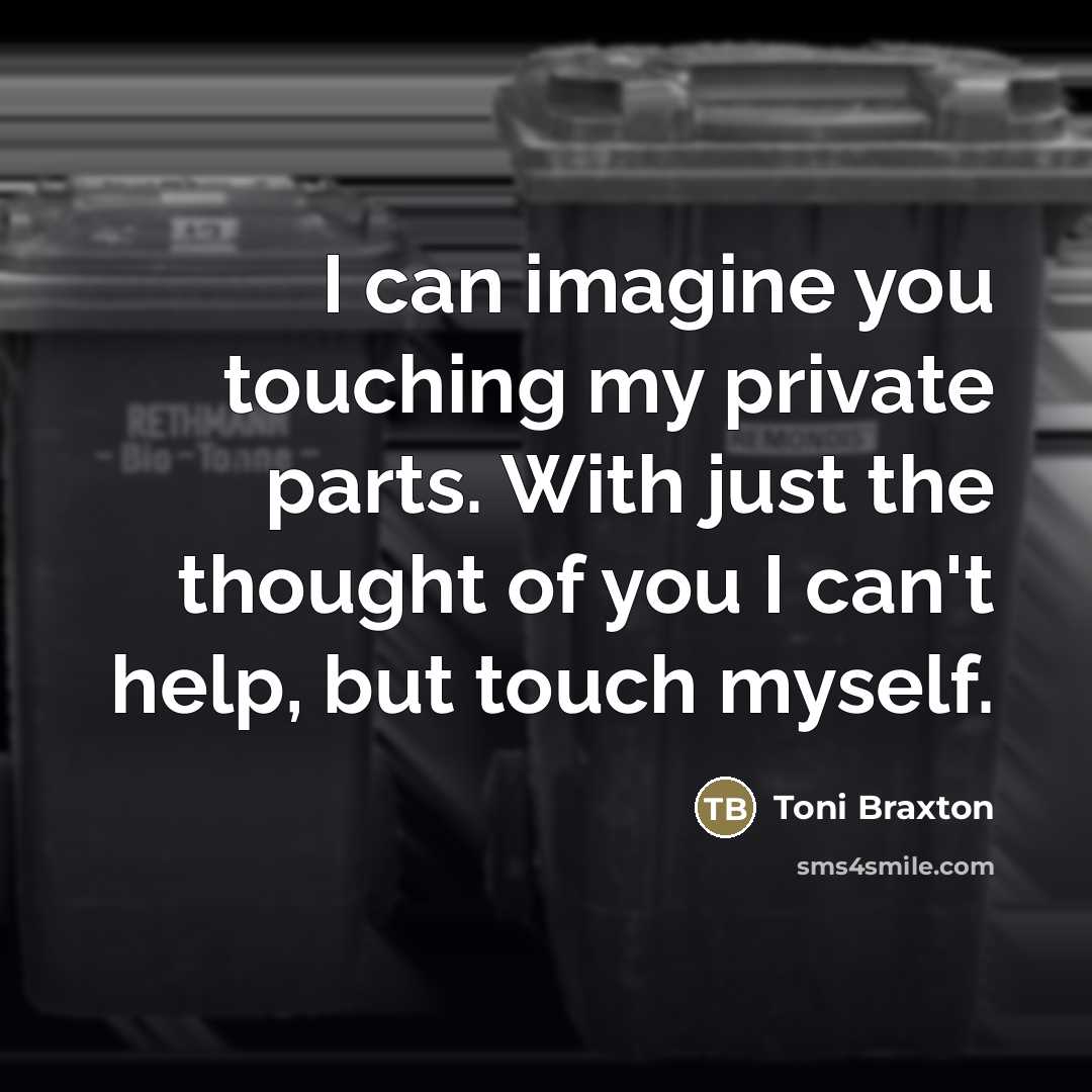 “I can imagine you touching my private parts. With just…” quote by Toni Braxton