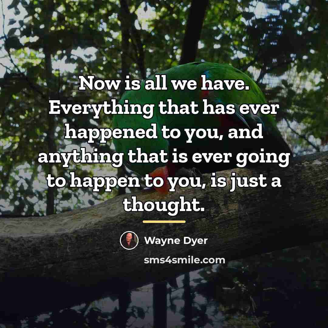 “Now is all we have. Everything that has ever happened…” quote by Wayne Dyer