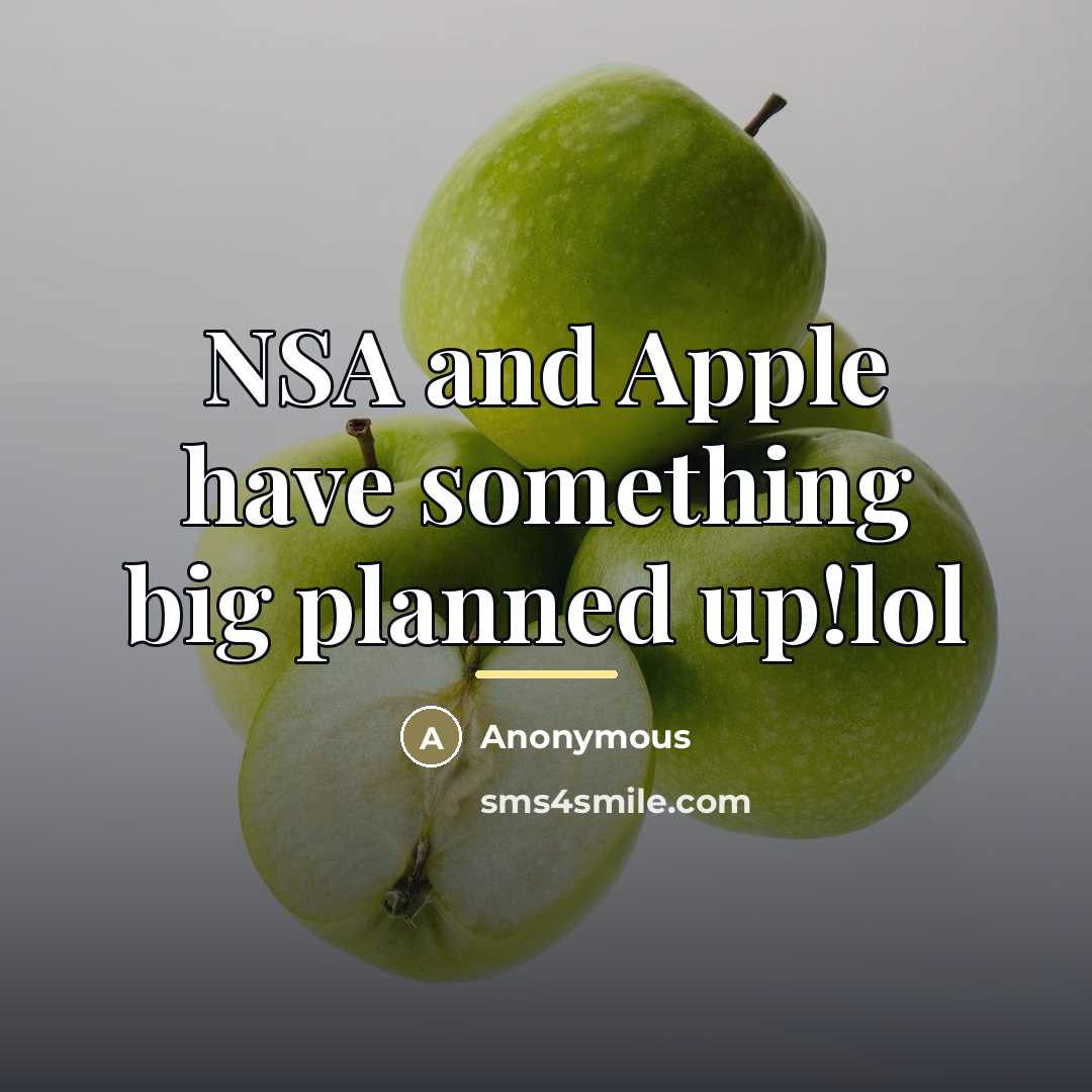 “NSA and Apple have something big planned up!lol…” quote by Anonymous