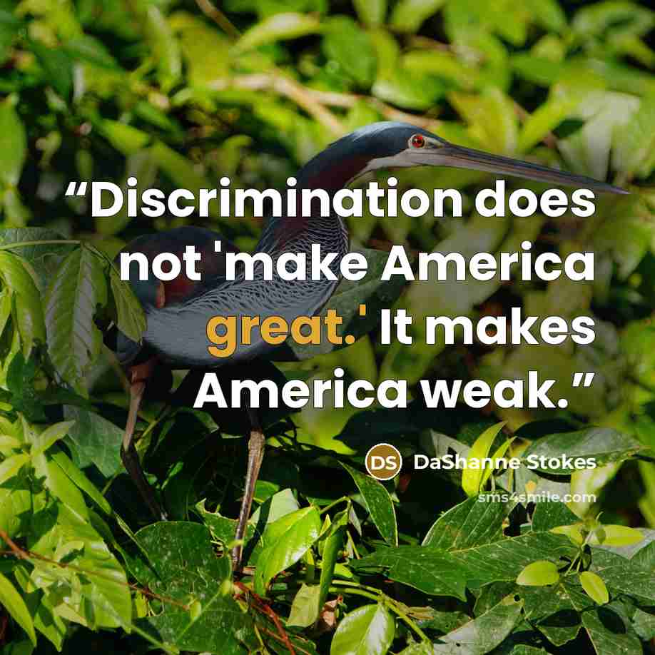 “Discrimination does not 'make America great.' It makes America weak.” quote by DaShanne Stokes