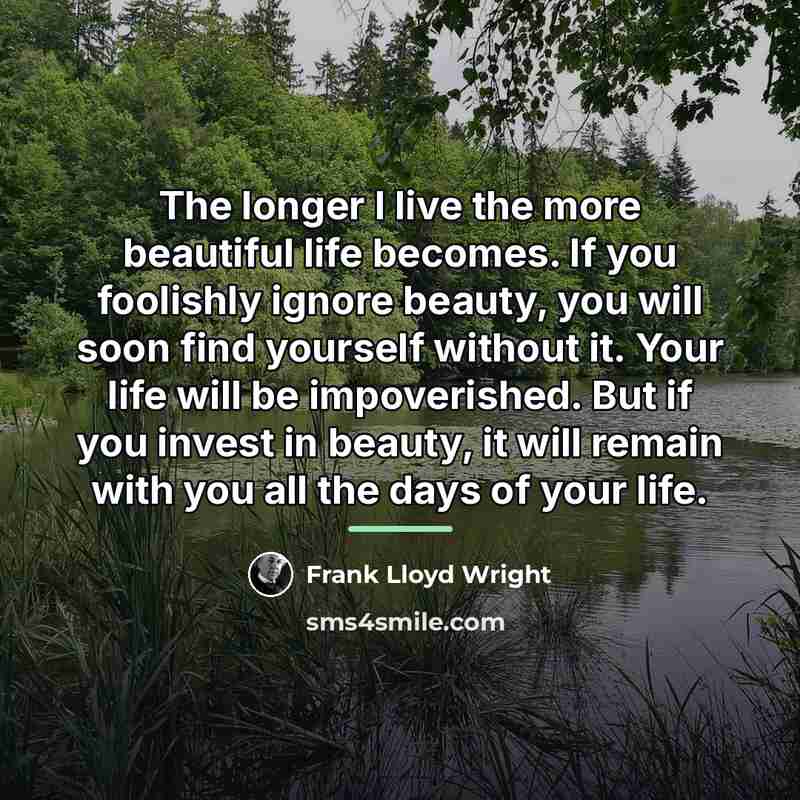 “The longer I live the more beautiful life becomes. If…” quote by Frank Lloyd Wright