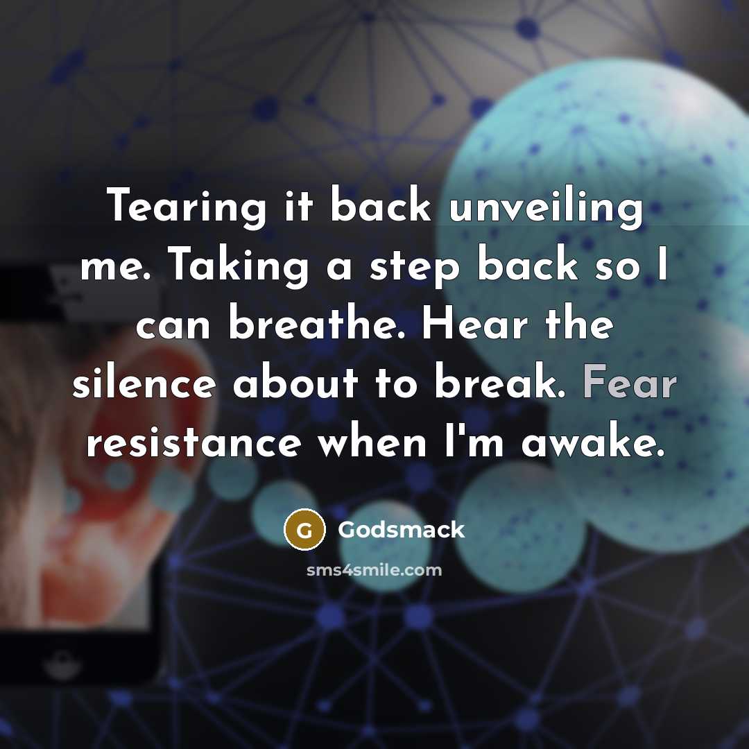 “Tearing it back unveiling me. Taking a step back so I can breathe. Hear the silence about to break. Fear resistance when I'm awake.” quote by Godsmack