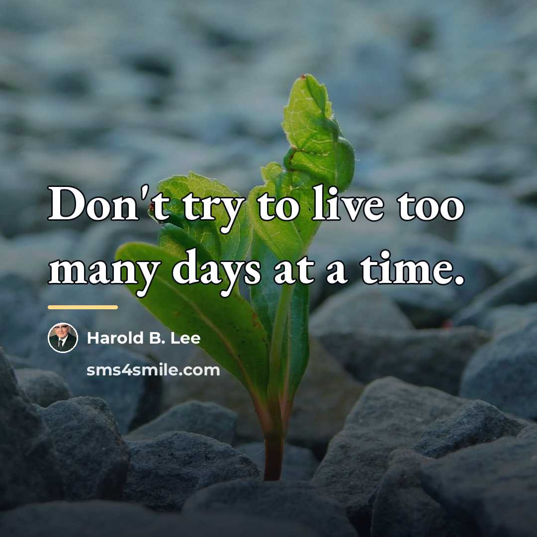 “Don't try to live too many days at a time.…” quote by Harold B. Lee