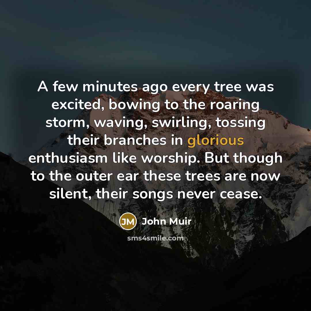 “A few minutes ago every tree was excited, bowing to…” quote by John Muir