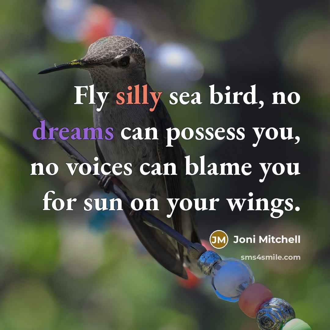 “Fly silly sea bird, no dreams can possess you, no…” quote by Joni Mitchell
