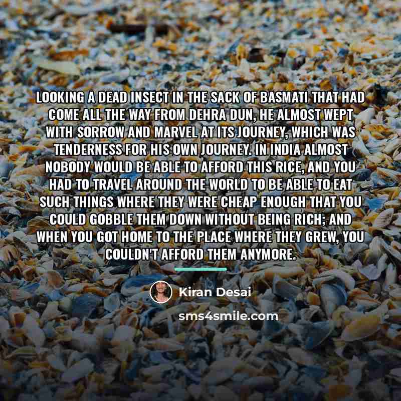 “Looking a dead insect in the sack of basmati that…” quote by Kiran Desai