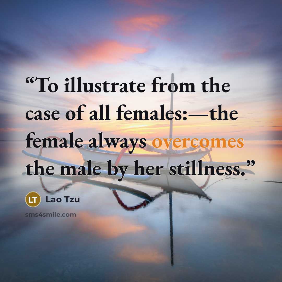 “To illustrate from the case of all females:—the female always overcomes the male by her stillness.” quote by Lao Tzu