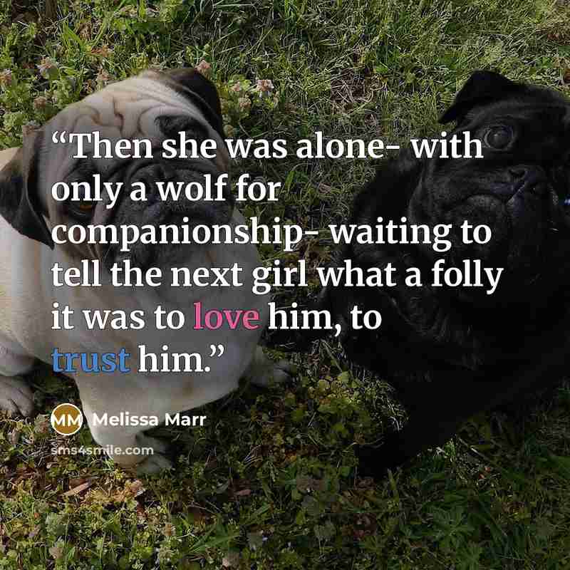 “Then she was alone- with only a wolf for companionship- waiting to tell the next girl what a folly it was to love him, to trust him.” quote by Melissa Marr