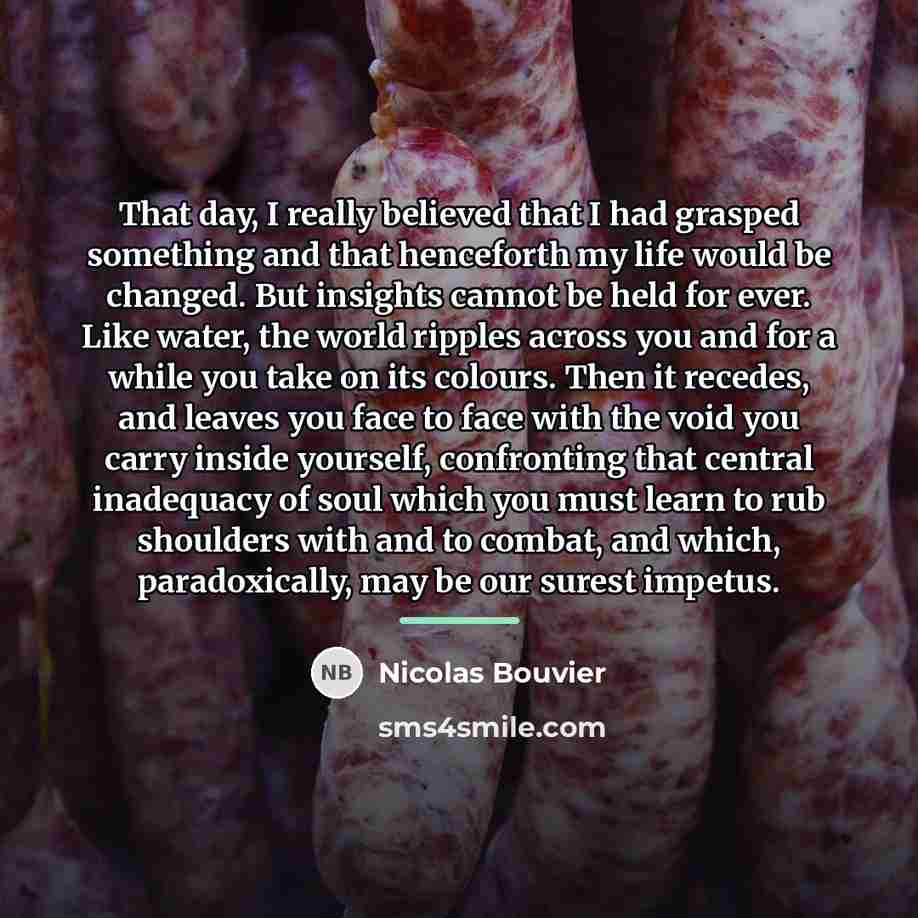 “That day, I really believed that I had grasped something…” quote by Nicolas Bouvier