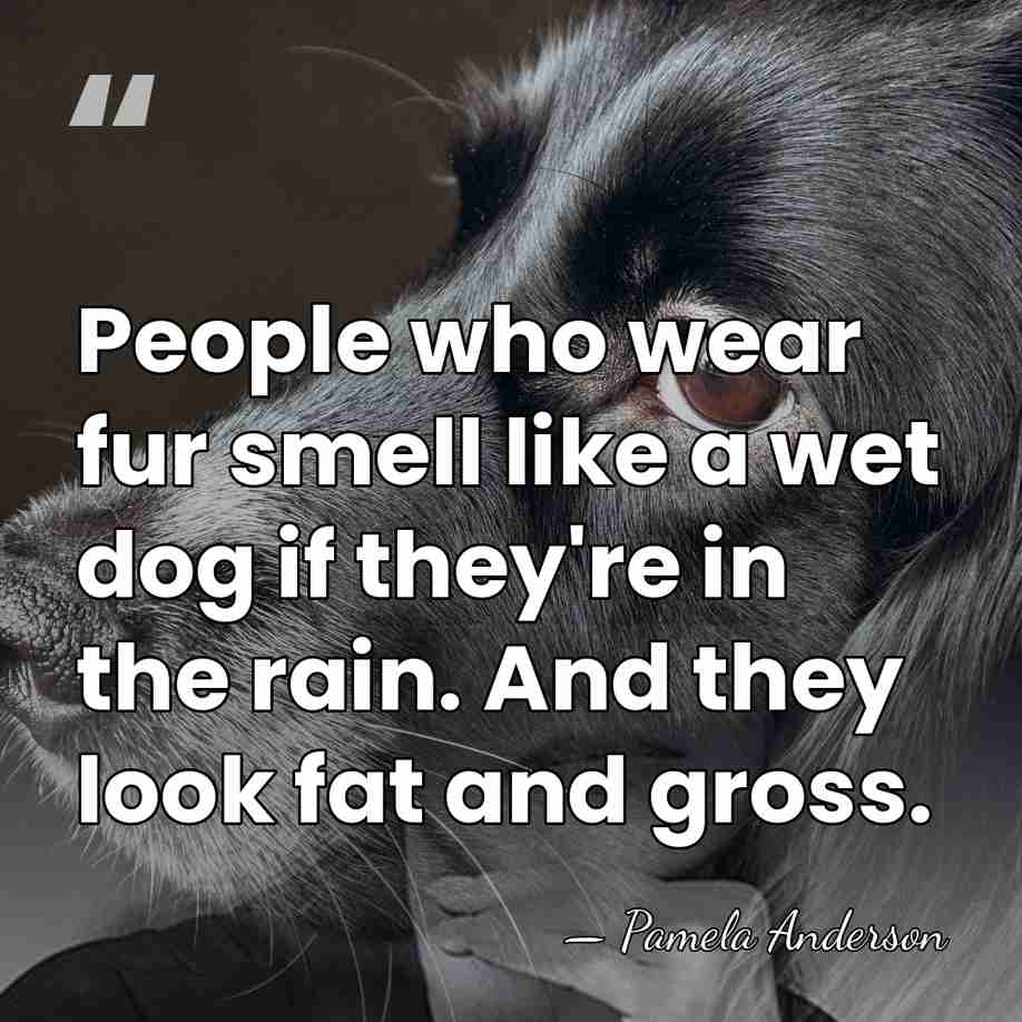 People who wear fur smell like a wet dog if they're in&hellip; - Pamela Anderson