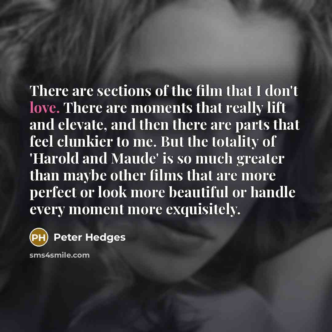 “There are sections of the film that I don't love.…” quote by Peter Hedges