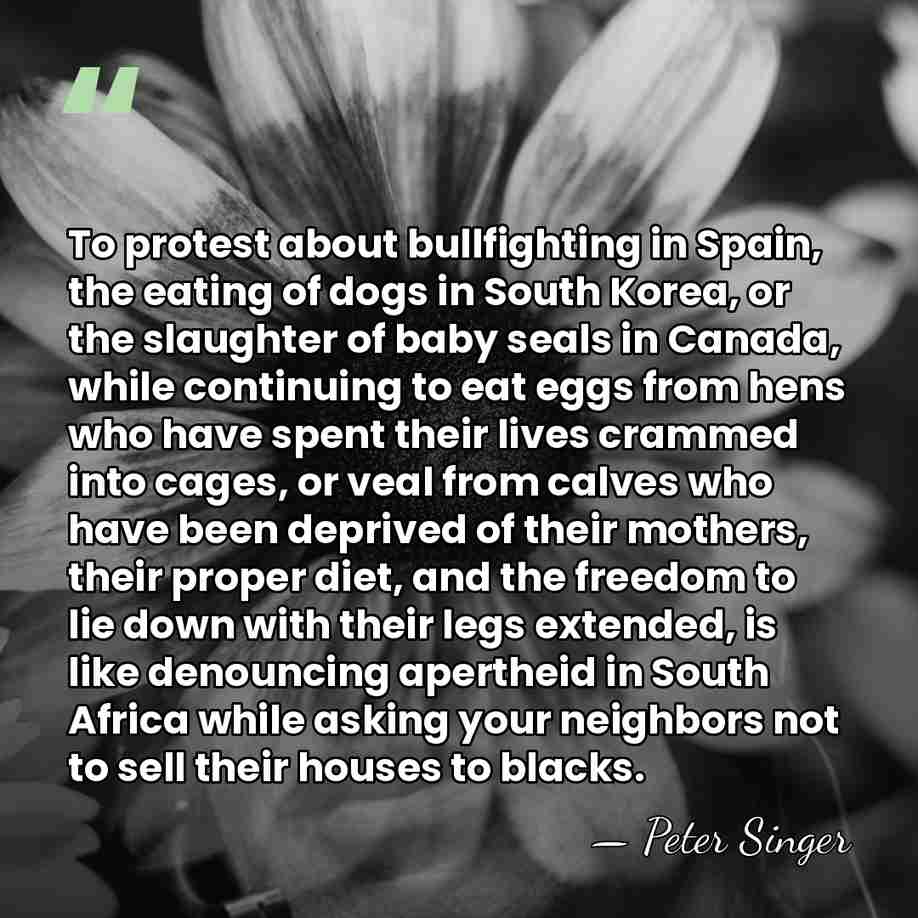 To protest about bullfighting in Spain, the eating of dogs in South&hellip; - Peter Singer