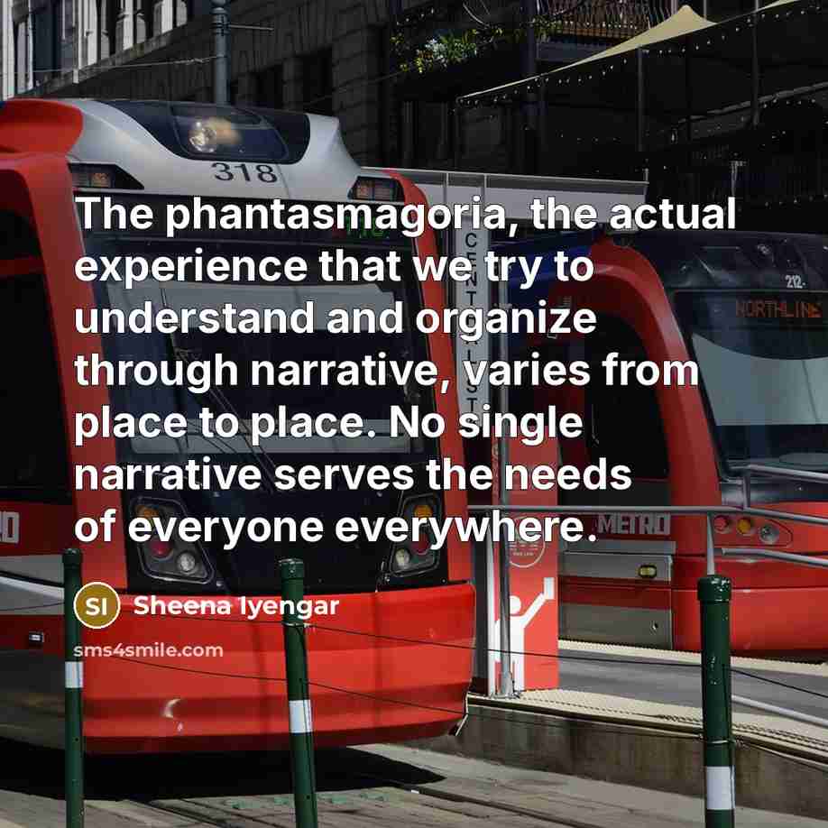 “The phantasmagoria, the actual experience that we try to understand…” quote by Sheena Iyengar