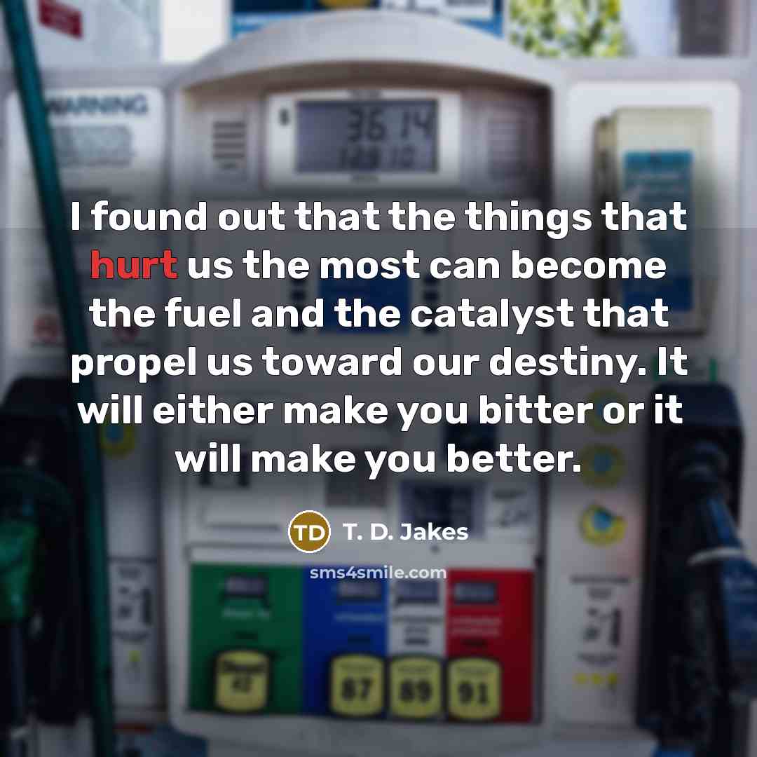 “I found out that the things that hurt us the…” quote by T. D. Jakes