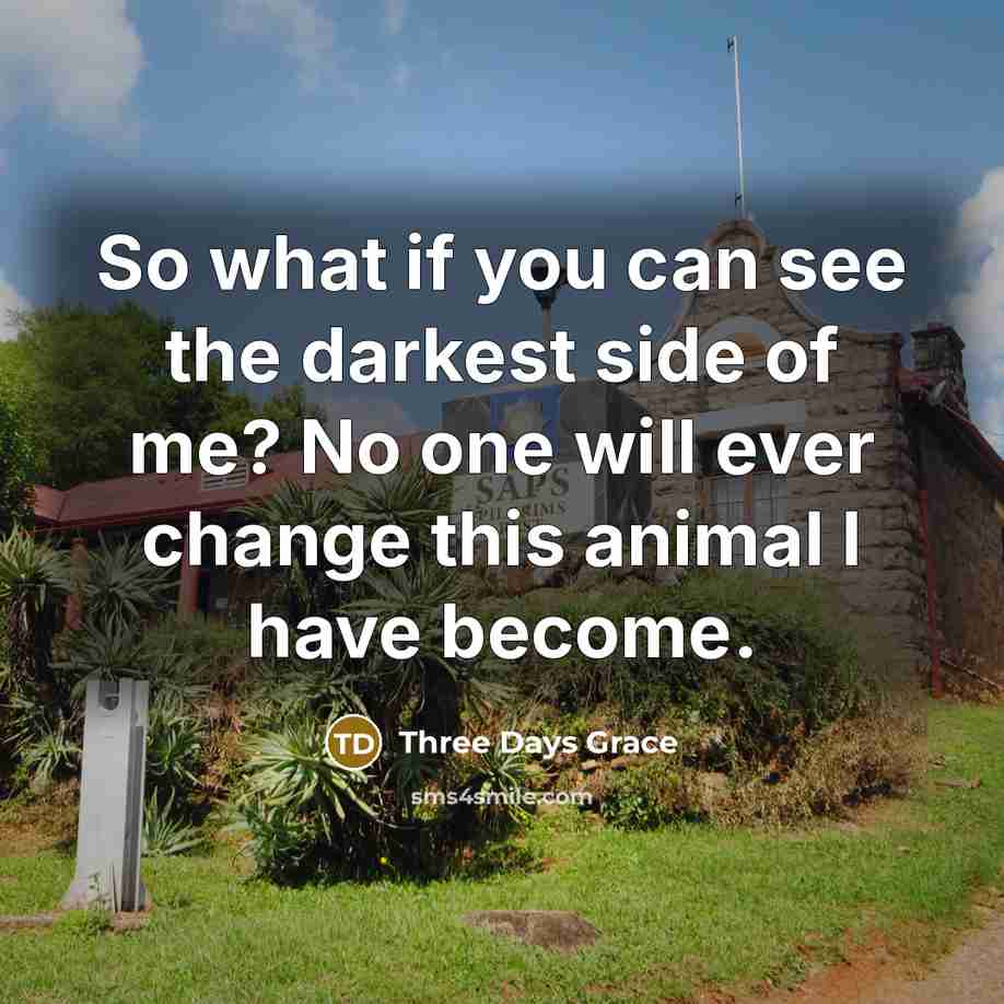 “So what if you can see the darkest side of…” quote by Three Days Grace