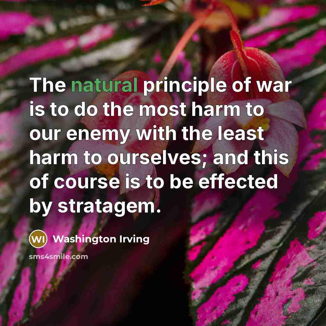 “The natural principle of war is to do the most…” quote by Washington Irving