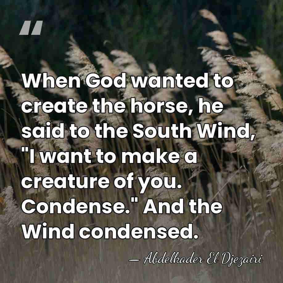 When God wanted to create the horse, he said to the South&hellip; - Abdelkader El Djezairi