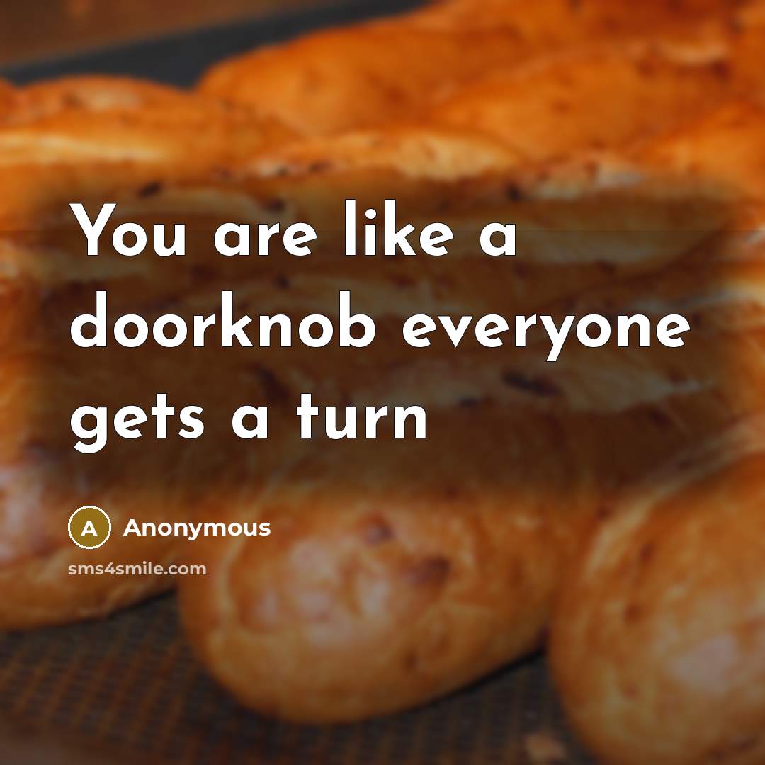 “You are like a doorknob everyone gets a turn” quote by Anonymous