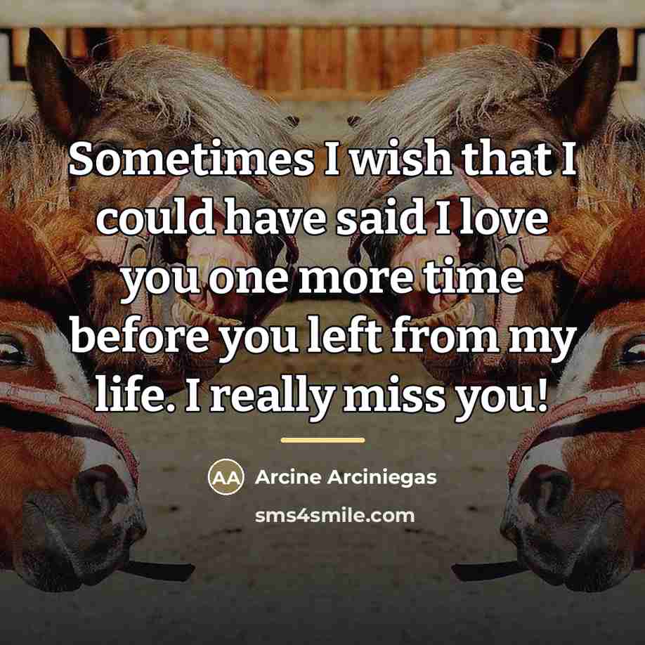 “Sometimes I wish that I could have said I love…” quote by Arcine Arciniegas
