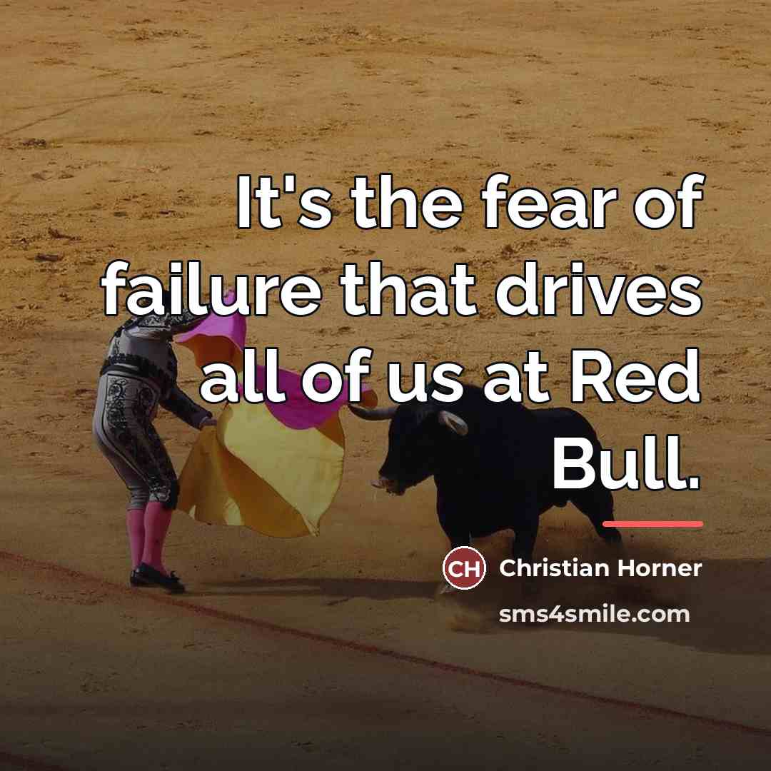 “It's the fear of failure that drives all of us…” quote by Christian Horner
