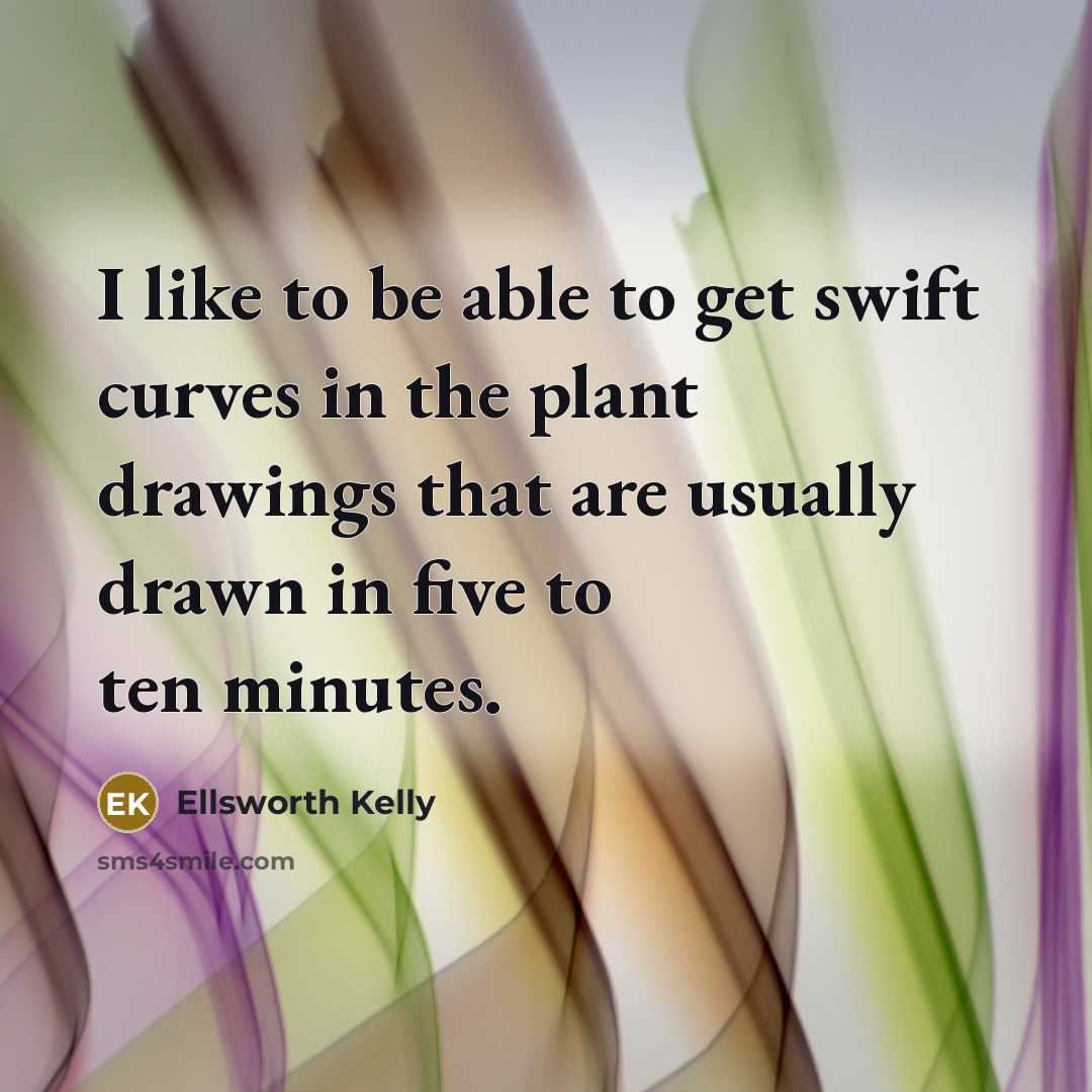 “I like to be able to get swift curves in…” quote by Ellsworth Kelly