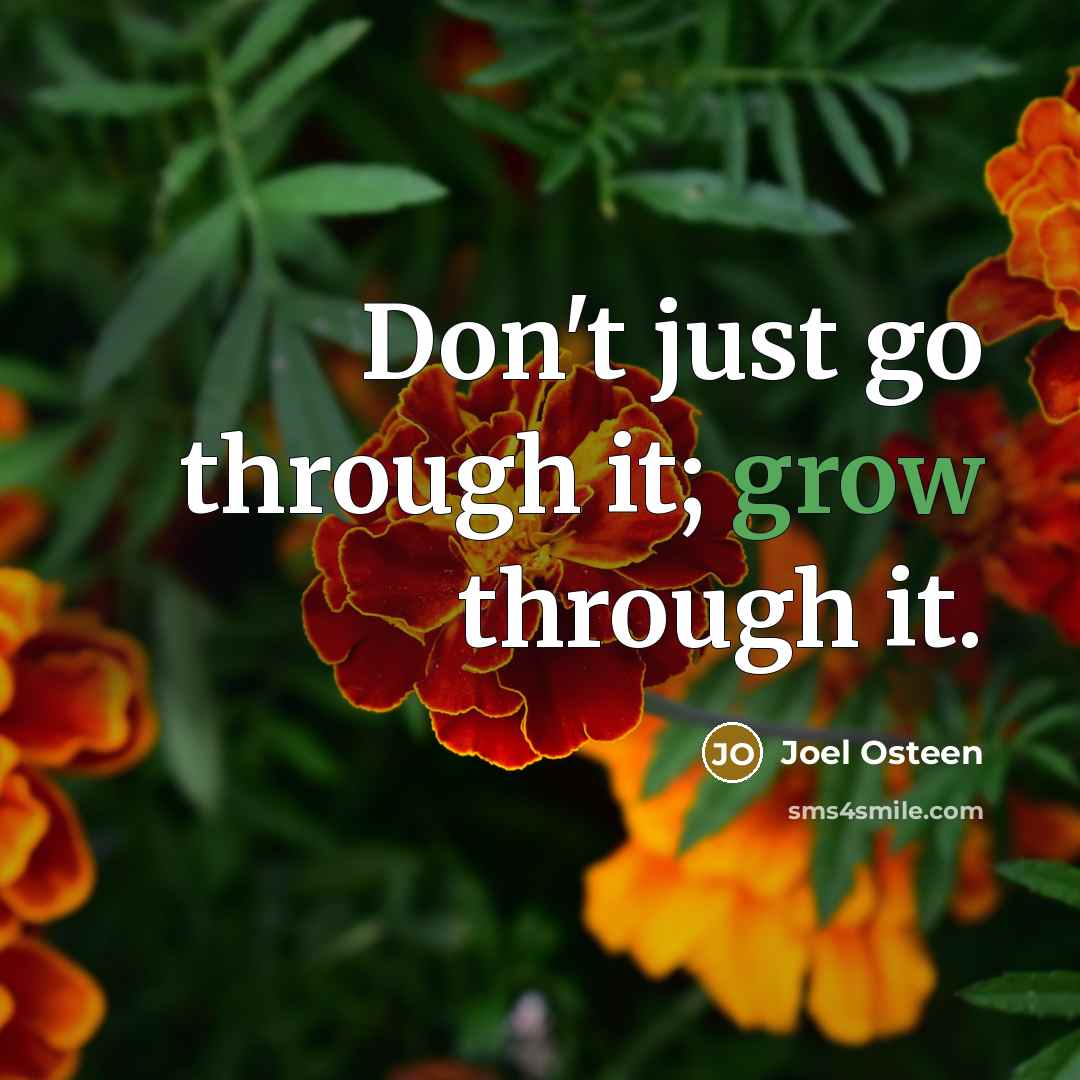 “Don't just go through it; grow through it.…” quote by Joel Osteen