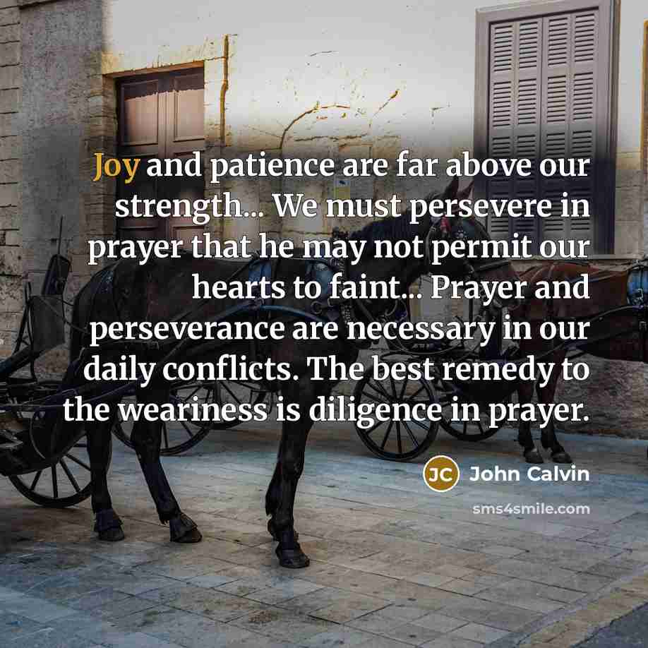 “Joy and patience are far above our strength... We must…” quote by John Calvin