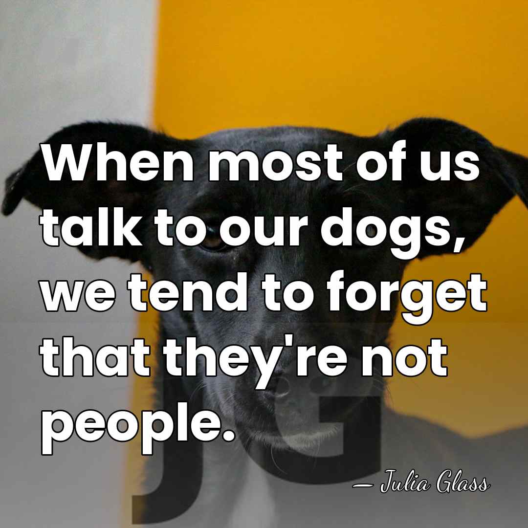 When most of us talk to our dogs, we tend to forget&hellip; - Julia Glass
