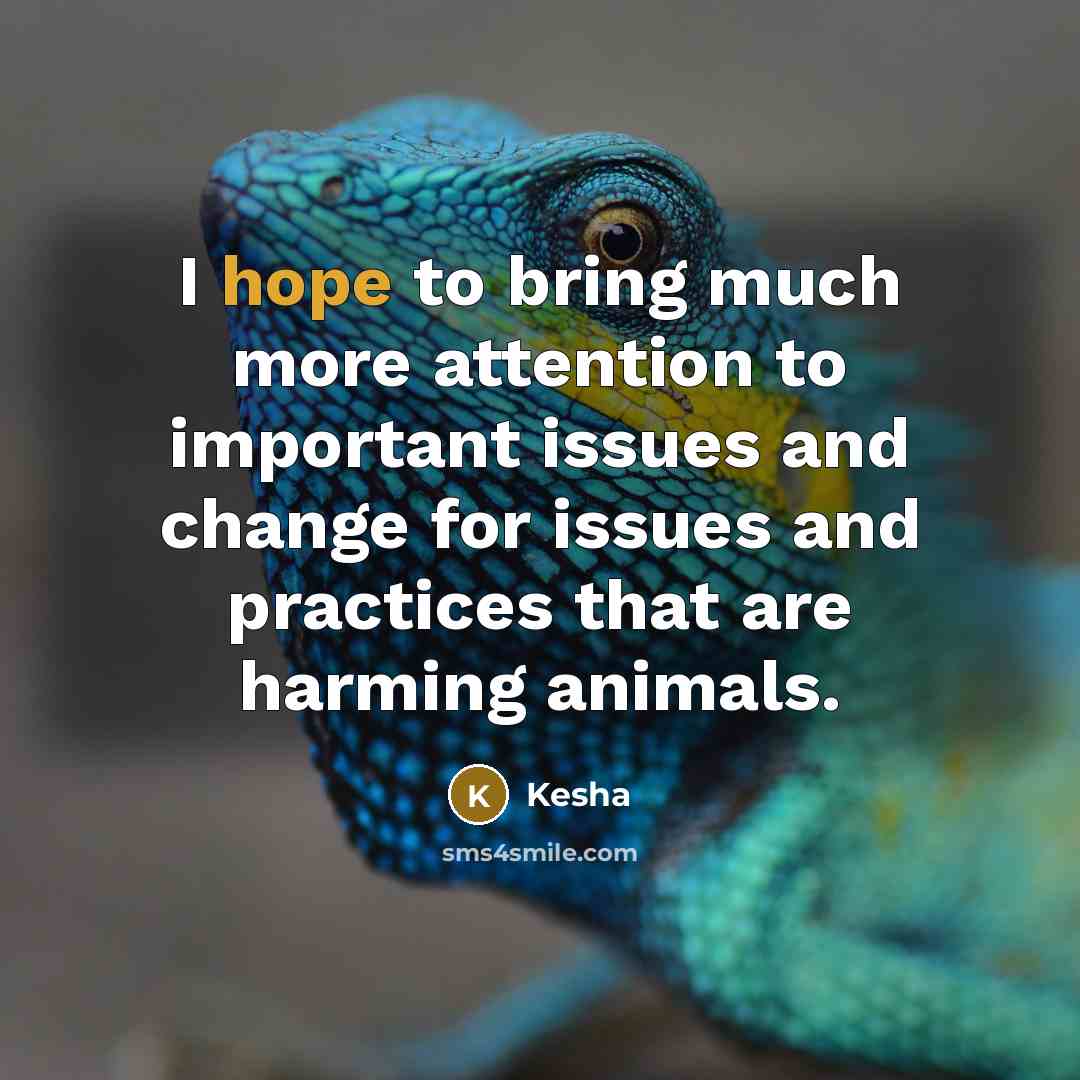 “I hope to bring much more attention to important issues…” quote by Kesha