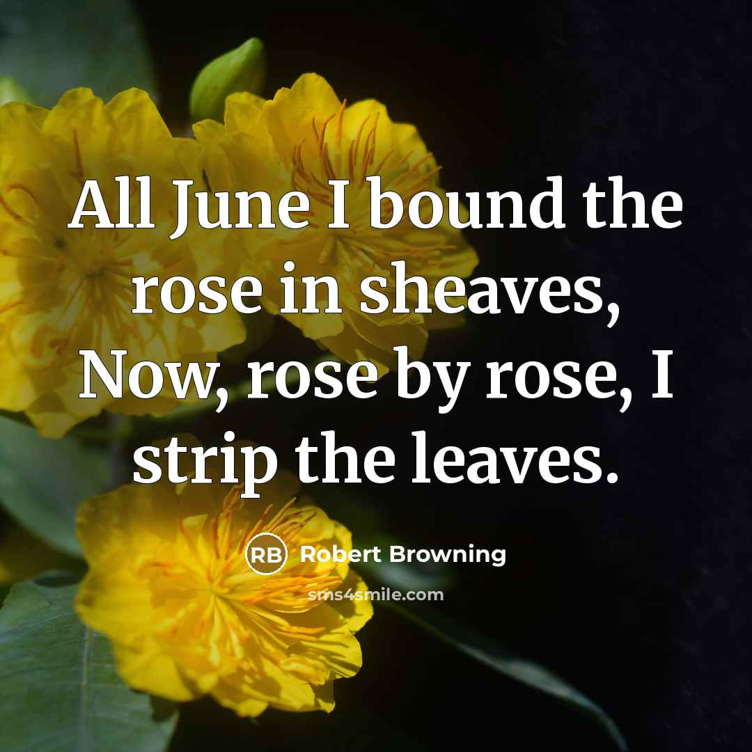 “All June I bound the rose in sheaves, Now, rose…” quote by Robert Browning