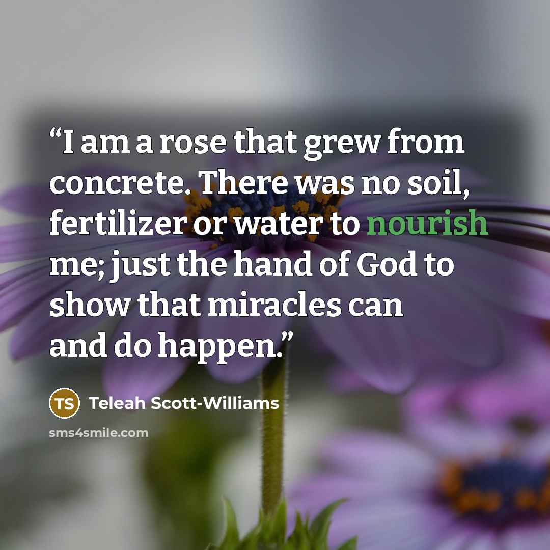 “I am a rose that grew from concrete. There was no soil, fertilizer or water to nourish me; just the hand of God to show that miracles can and do happen.” quote by Teleah Scott-Williams