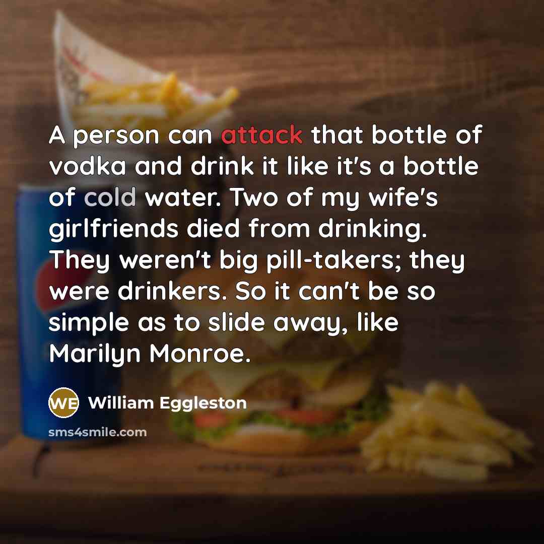 “A person can attack that bottle of vodka and drink…” quote by William Eggleston