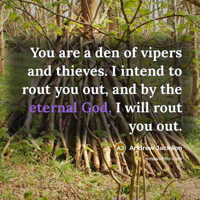 “You are a den of vipers and thieves. I intend…” quote by Andrew Jackson