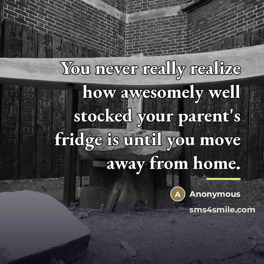 “You never really realize how awesomely well stocked your parent's…” quote by Anonymous