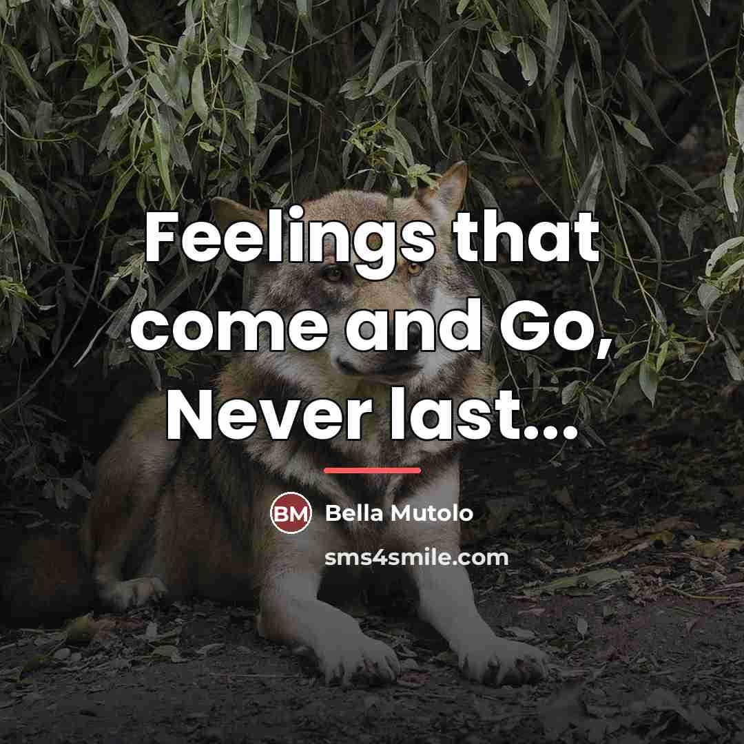 “Feelings that come and Go, Never last...…” quote by Bella Mutolo