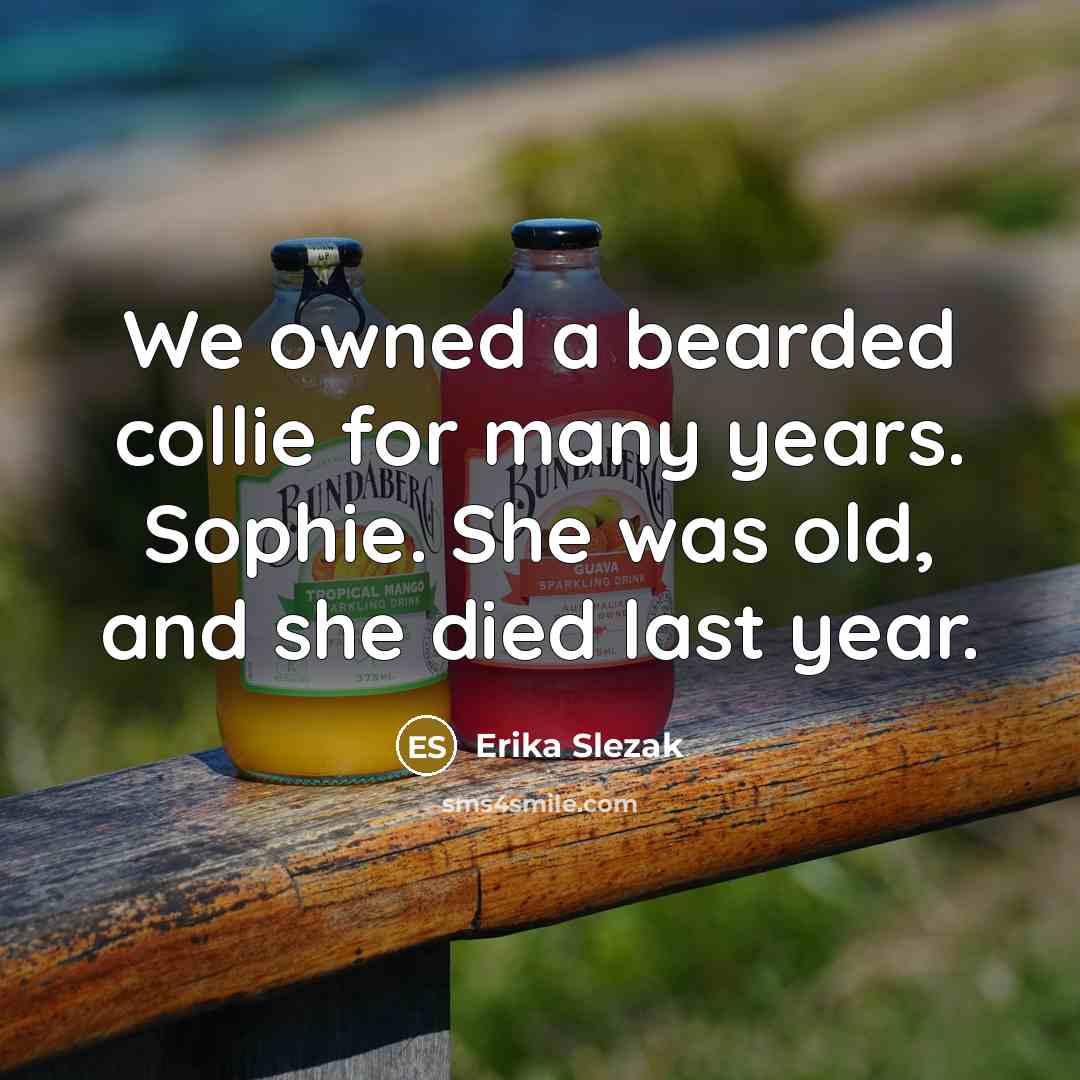 “We owned a bearded collie for many years. Sophie. She…” quote by Erika Slezak