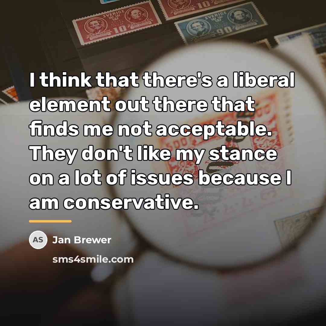“I think that there's a liberal element out there that…” quote by Jan Brewer