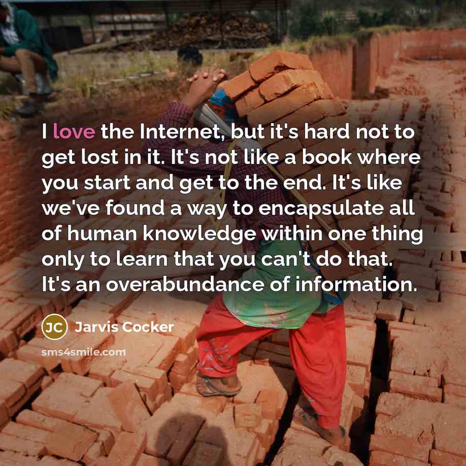 “I love the Internet, but it's hard not to get…” quote by Jarvis Cocker