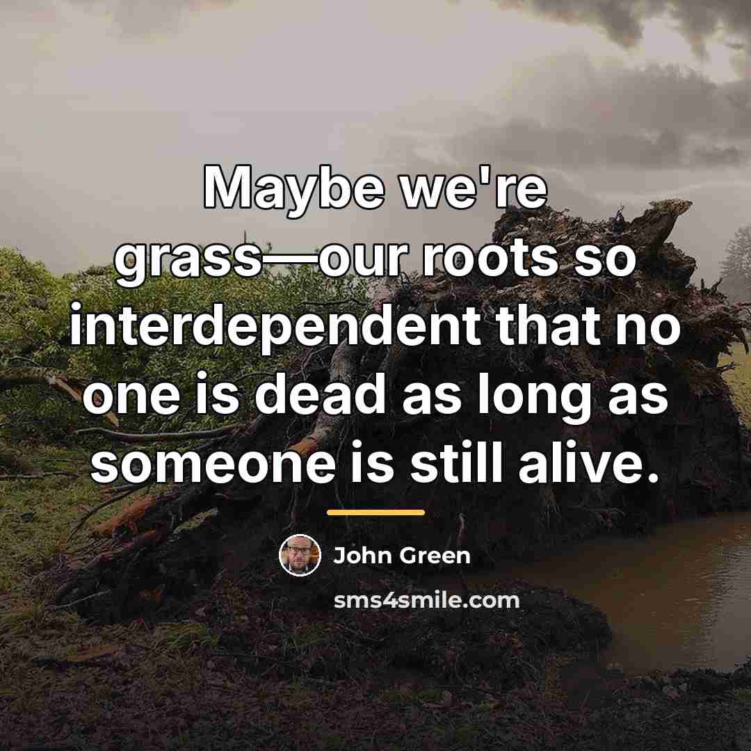 “Maybe we're grass—our roots so interdependent that no one is…” quote by John Green