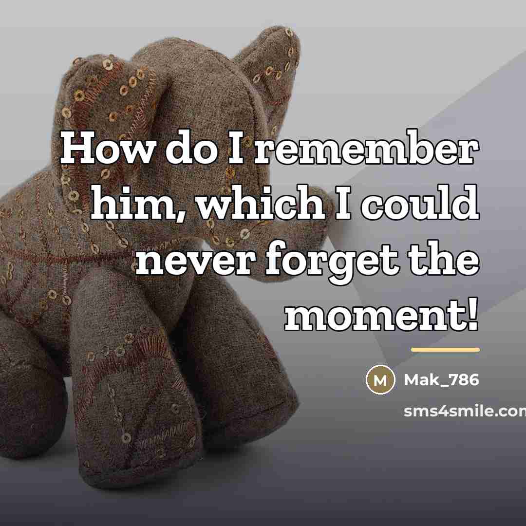 “How do I remember him, which I could never forget…” quote by Mak_786