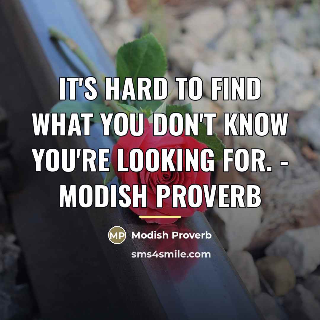 “It's hard to find what you don't know you're looking…” quote by Modish Proverb