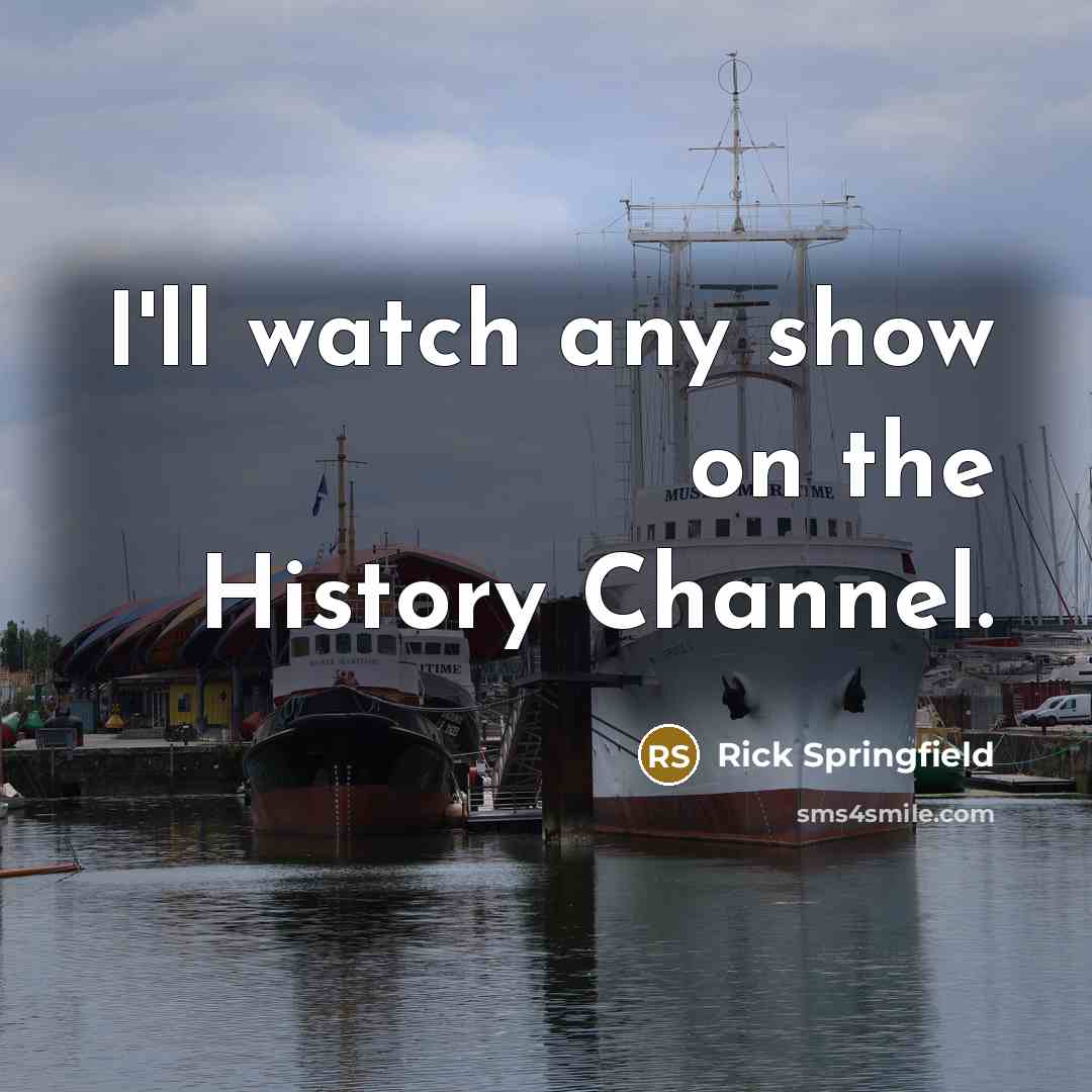 “I'll watch any show on the History Channel.…” quote by Rick Springfield