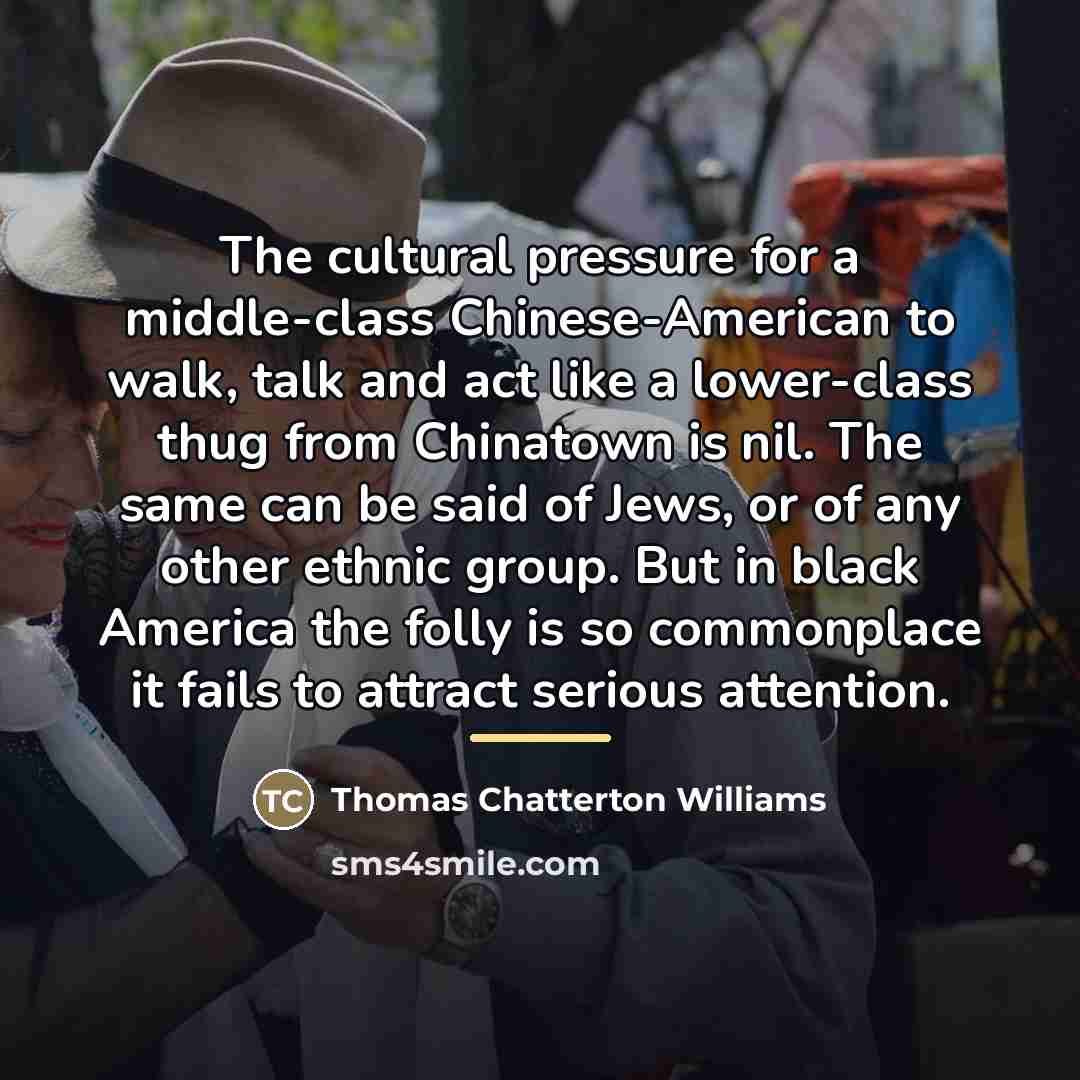 “The cultural pressure for a middle-class Chinese-American to walk, talk…” quote by Thomas Chatterton Williams