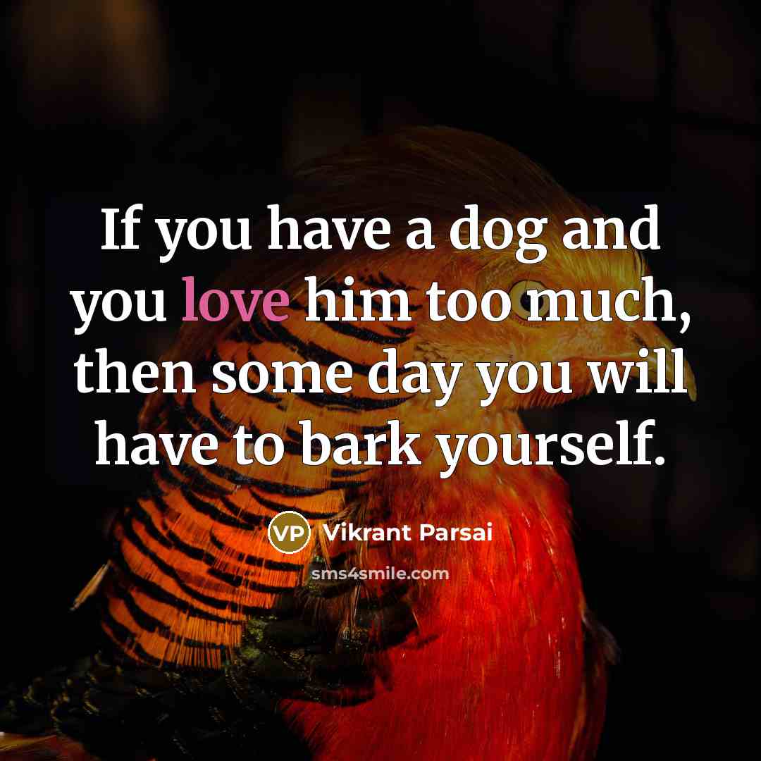 “If you have a dog and you love him too much, then some day you will have to bark yourself.” quote by Vikrant Parsai