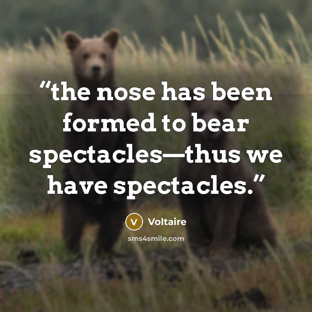 “the nose has been formed to bear spectacles—thus we have spectacles.” quote by Voltaire